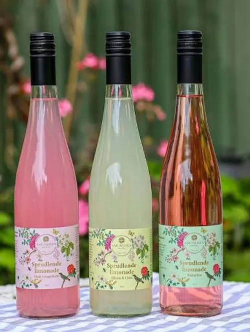 Hovedbilde Limonade - Rabarbra
